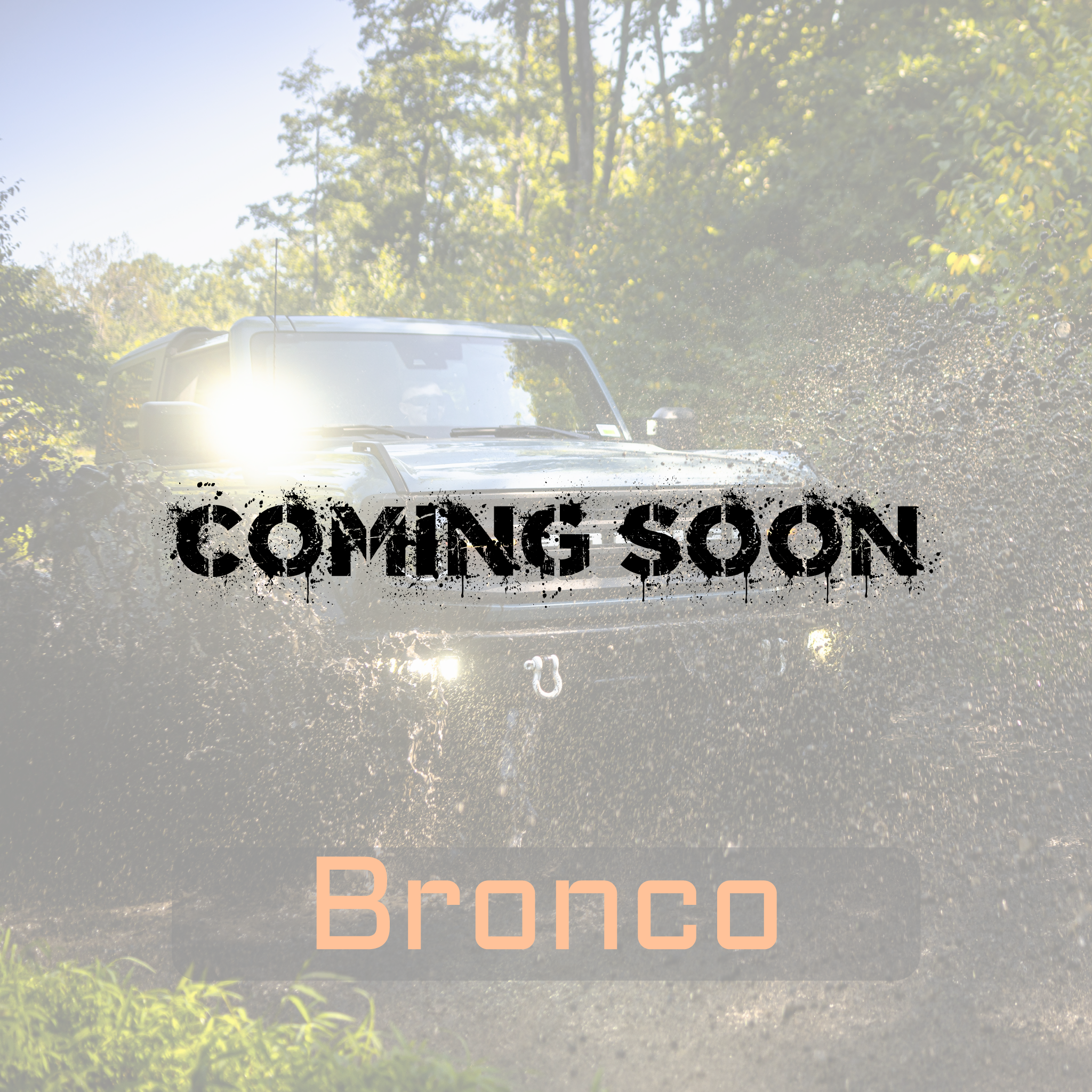 Bronco