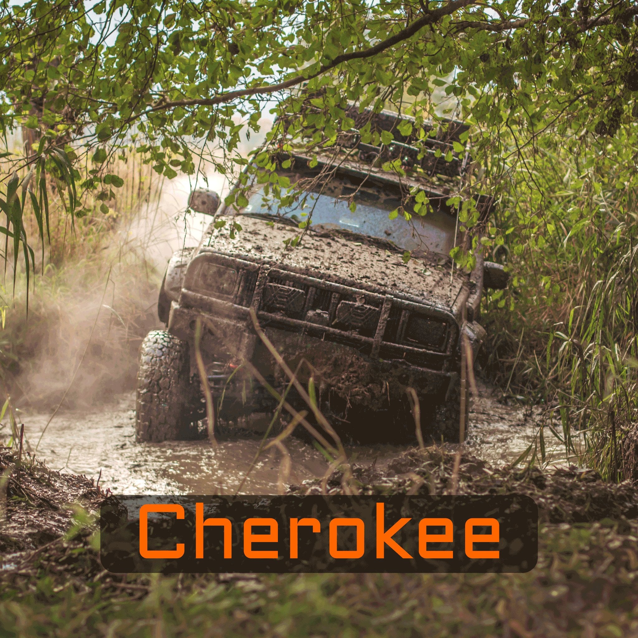 Cherokee